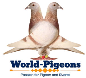 World-Pigeons